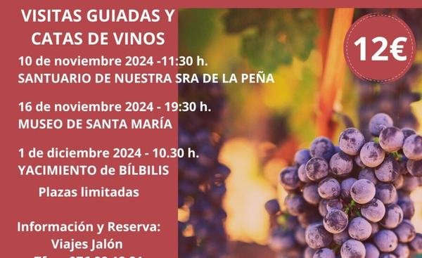 Cartel o imagen de la noticia: CatanD.O. lo nuestro: visitas guiadas con cata de vinos D.O. Calatayud (2024)