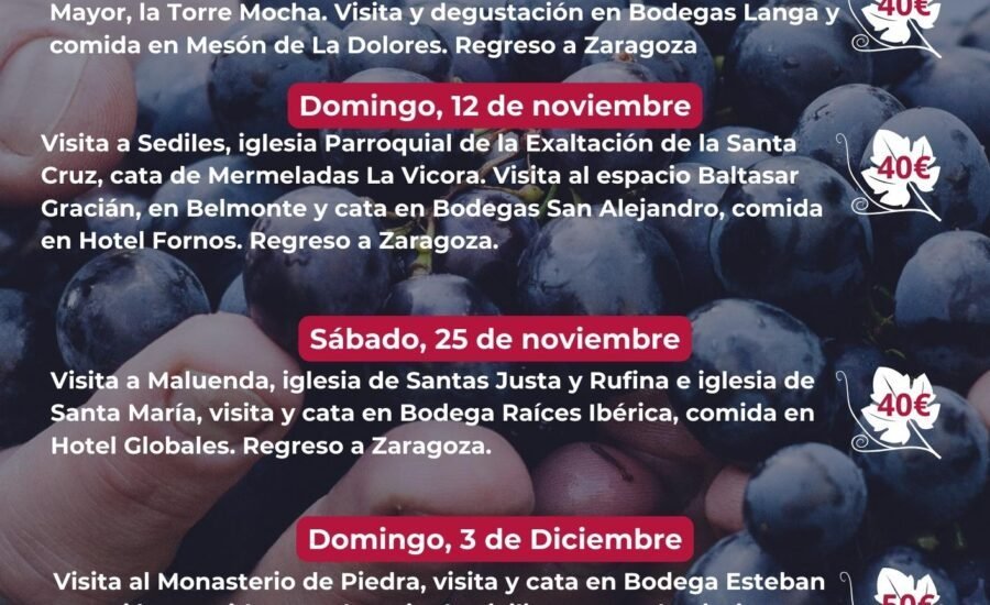 Cartel de los Buses del Vino de noviembre de 2023: cuatro rutas con visita a monumentos, cata en una bodega de la Ruta y comida, con regreso a Zaragoza, a 40 € (50 € la del Monasterio de Piedra)