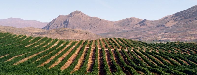 Enoturismo total en Bodegas Langa