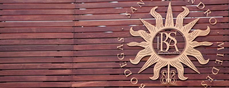 Visita a Bodegas San Alejandro